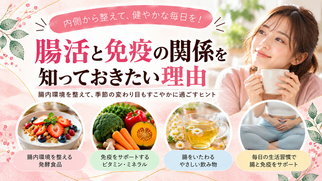 腸活を意識する方に知っておきたい免疫との関係の基本と実践方法を紹介するガイド